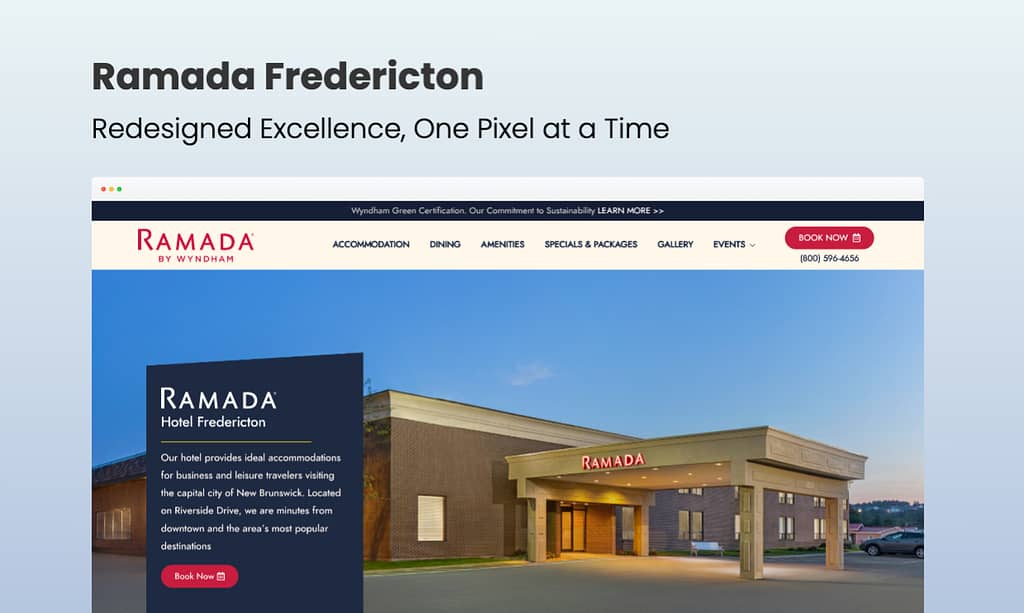 Website development job